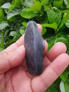 和田玉籽料青花三色料,做工精细料子油润